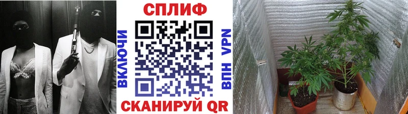 Каннабис THC 21%  Анапа 